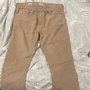 J crew pants  brand new
